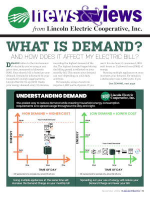 Cover image for LEC Rural Montana. Talks about what is demand. Image used as a link to the PDF article.