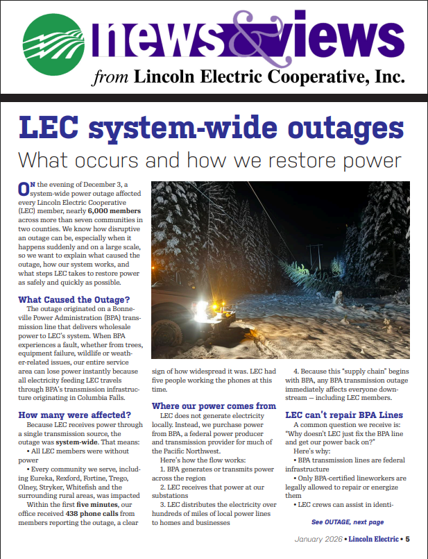 Tips, suggestions to mitigate your wildfire risk