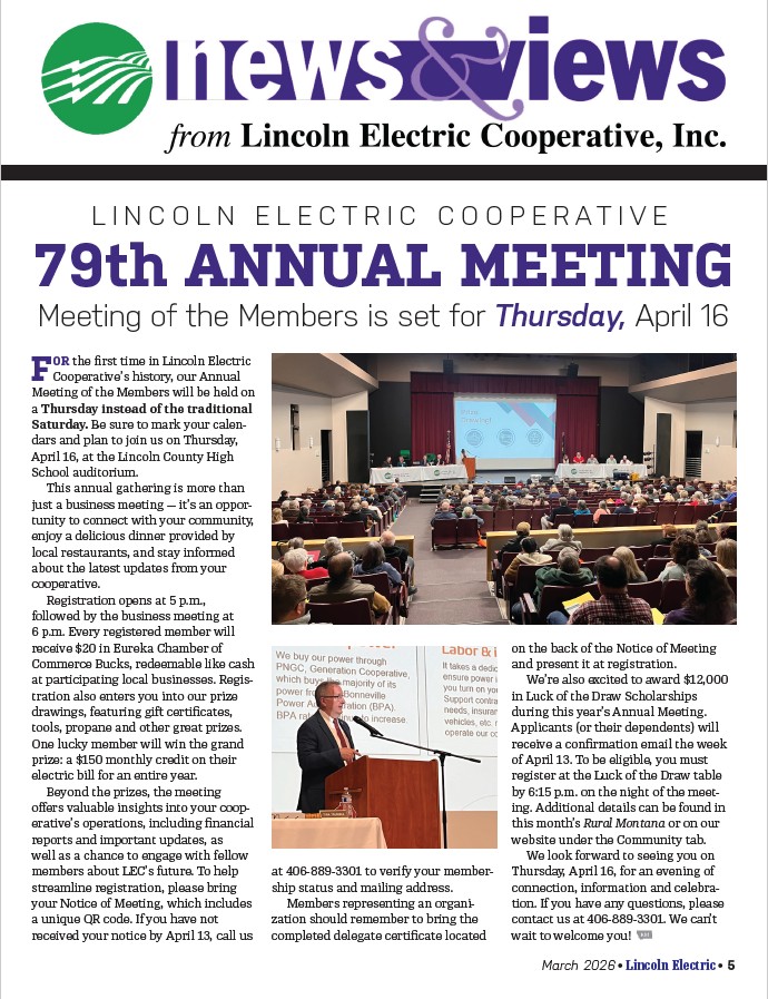 Tips, suggestions to mitigate your wildfire risk